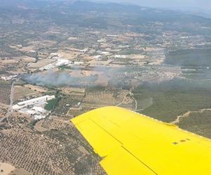 Torbalı’da zeytinlik alanda yangın
