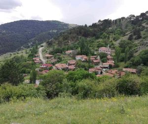 Bu köyde sandıktaki tüm oylar Cumhurbaşkanı Erdoğan’a çıktı