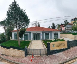 Pamukkale Belediyesinden koca çınarlara müjde