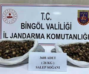 Bingöl’de salep soğanı toplayan şahıslara 488 bin 630 lira para cezası kesildi