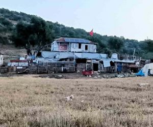 İzmir’de çiftlik evinde korkunç cinayet