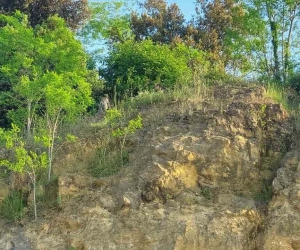 Kayalıklara çıkan kadını kaymakam ile emniyet müdürü ikna etti