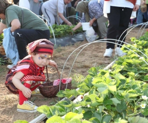 Bu da çilek köyü