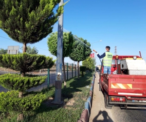 Kahta Belediye ilaçlama çalışmalarını yoğunlaştırdı