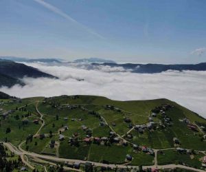 Trabzon’un yaylalarından eşsiz bulut denizi manzaraları