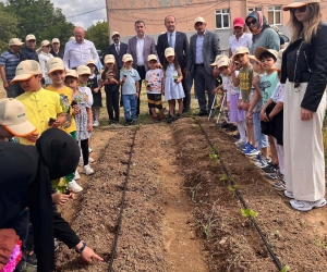 Okulda çilek dikmeyi öğrendiler