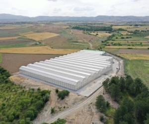 Elazığ Belediyesi jeotermal sera sahasında topraksız tarıma başladı