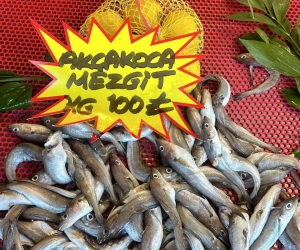 Bayram öncesi balık tezgahlarında son durum