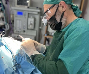 Hayati tehlikesi bulunan sokak hayvanlarına ücretsiz müdahale