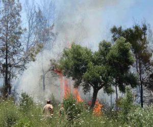 Antalya Valiliğinden orman yangınlarını önlemek için kritik genelge