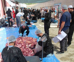 Van’da geleneksel toplu kurban kesimi