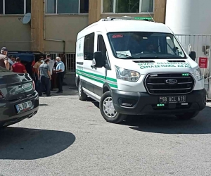 Kene ısırması sonucu yaşanan ölümler sürüyor