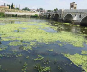 Edirne’de Tunca Nehri plastik atıklar ve çöplerle kaplandı
