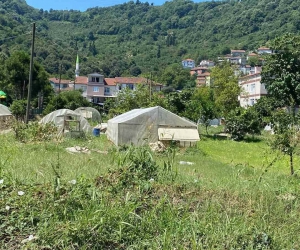 Selden zarar gören tarım arazileri havadan görüntülendi