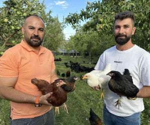 8 civcivle işe başlayan 4 öğretmen bin 200 tavuklu çiftlik kurdu