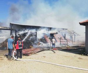 Bilecik’te dün başlayan at çiftliği yangınında soğutma işlemi devam diyor