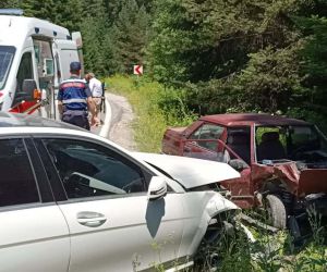Bolu’da ormanda çilek toplamak için park edilen araç kazaya sebep oldu: 2 yaralı