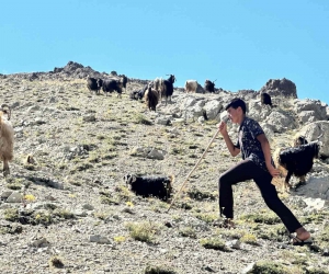 Yaylada çobanlık yapan ve LGS’de Türkiye ikincisi olan Muhammet’in kazandığı lise belli oldu