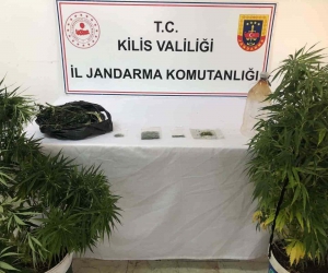 Yasa dışı esrar yetiştiren şahsın evine Jandarmadan operasyon: 2 gözaltı