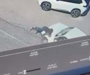Kadın sürücü, karşıya geçmek için yoldan duran yayayı ezdi, o an ise kameralara böyle yansıdı
