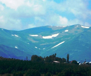 Posof’ta küresel ısınma etkili oluyor