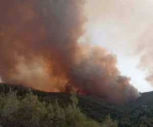 İzmir’in Kınık ilçesinde başlayan orman yangınına ekipler havadan ve karadan müdahale ediyor. Ekiplerin, tedbiren bölgedeki Balaban, Çiftlik ve Karatekeli mahallelerini tahliye ettiği bildirildi.