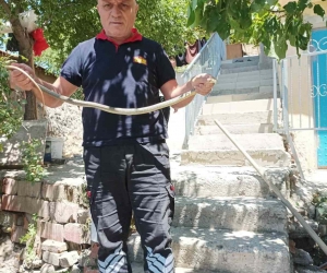 Eve giren yılan paniğe neden oldu