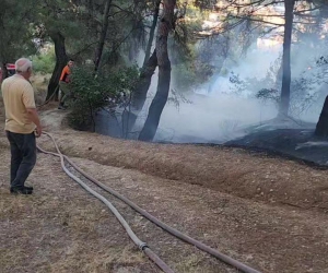 Piknik alanında çıkan yangın ormana sıçramadan söndürüldü