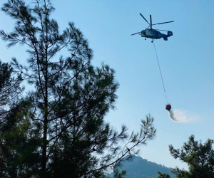 Kayacı Vadisi’nde çıkan yangında 1 hektar ormanlık alan etkilendi