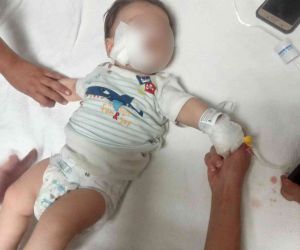 Yörük Şenliği’nde feci olay: Atın ısırdığı bebek ağır yaralandı