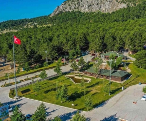 Kefe Yaylası temiz hava ve serinlik arayanların gözdesi oldu