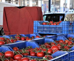 Antalya’da domates miktarı azalınca, fiyatı arttı