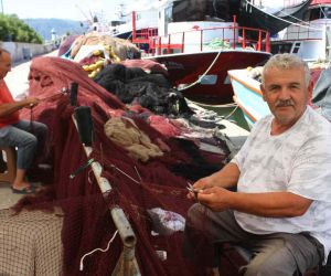Karadenizli balıkçılar hamsiden umutlu: “Bu sezon hamsi yılı olacak”