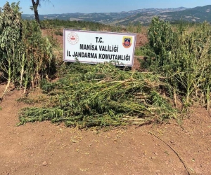 Akhisar ve Soma’da uyuşturucu operasyonu