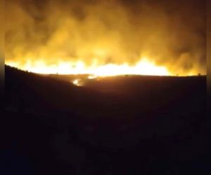 Karacadağ Bal Ormanı’nda yangın