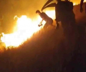 Karacadağ Bal Ormanı’nda çıkan yangın kontrol altına alındı
