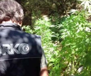 ’Uyuşturucu ormanı’na polis baskını