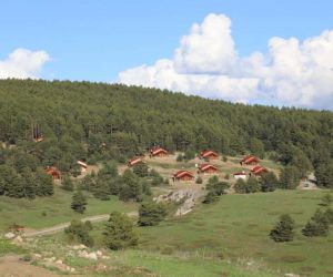 Erzincan’ın yeşil cenneti: Dumanlı Tabiat Parkı