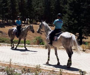 Akdağ Tabiat Parkı’nda atlı jandarma timleri göreve başladı