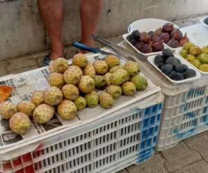 Fethiye’de dikenli incir tanesi 10 liradan satılıyor