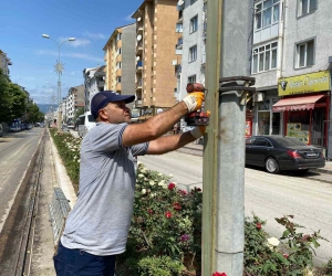 Elektrik direklerine ahşap kaplama