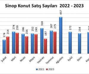 Sinop’ta Temmuz ayında 275 konut satıldı