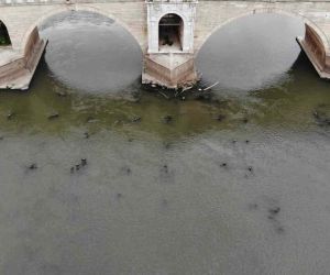 Meriç Nehri’ni kuraklık vurdu: Tarihi ahşap köprünün ayakları gün yüzüne çıktı