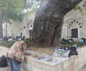Beyazıt Meydanı’nın çınarı Hüseyin Avni Dede: 58 yıldır adının verildiği ağacın altında