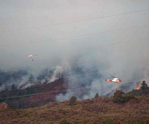 İspanya’nın Tenerife Adası’ndaki yangın büyüyor: Bin 800 hektar alan kül oldu