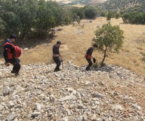 11 çocuk babası dağ taş aranıyor
