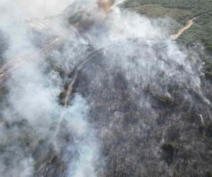 TÜBİTAK yerleşkesinde çıkan yangına 4 uçak ve 2 helikopterle müdahale sürüyor
