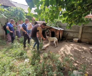 Bakılması yasak hayvanlara el konuldu