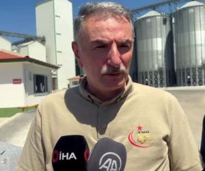 TMO Genel Müdürü Güldal: “8,7 milyon ton hububat alımı yapıldı”