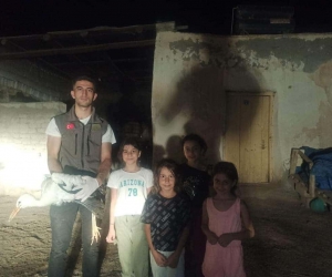 Yuvadan düşen leylek tedavi altına alındı